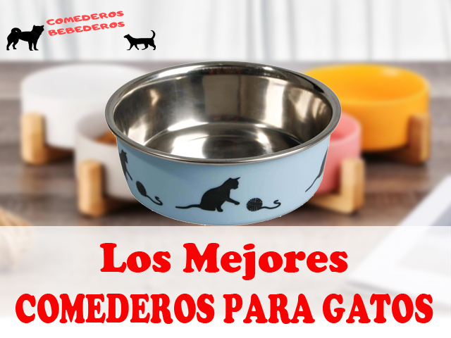 Bebedero Gatos Antivuelco y Antideslizante Pequeños Inclinación de 15 ° YHmall Comedero Gato y Perro